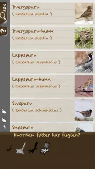 Fugler I Naturen iphone bilder 1