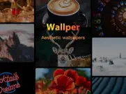 wallper-aesthetic wallpapers ipad images 1