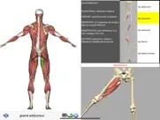 visual anatomy lite iPad Captures Décran 2