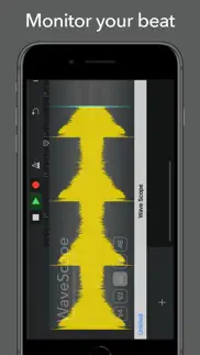 wavescope auv3 iphone capturas de pantalla 2