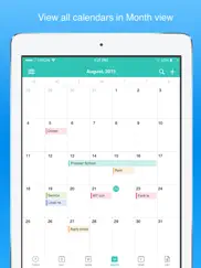 calenda: calendar app ipad images 1