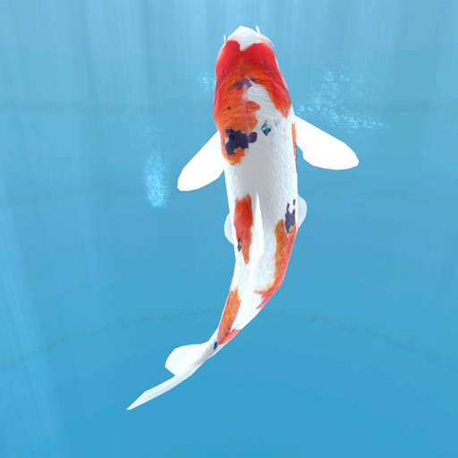 Koi - Aquarium app reviews download