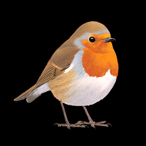 Collins British Bird Guide app reviews download