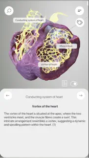 3d heart anatomy iphone capturas de pantalla 2