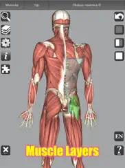 3d anatomy learning ipad resimleri 4