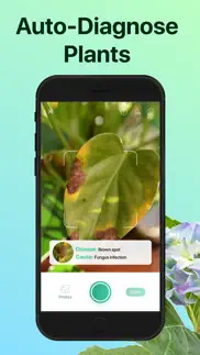 picturethis - plant identifier iphone images 4