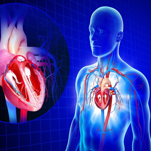 Circulatory System Anatomy app reviews download