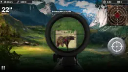black bear target shooting iphone images 2