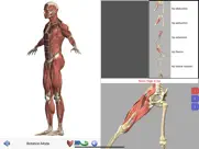 visual anatomy ipad bildschirmfoto 4