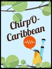 chirpomatic caribbean ipad bildschirmfoto 1