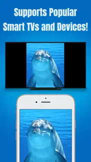 screen mirroring app - tv cast iphone capturas de pantalla 3
