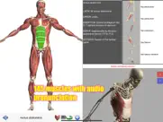 visual anatomy ipad resimleri 4