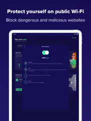 avast security & privacy ipad images 2
