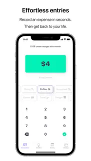 nudget: spending tracker iphone images 1