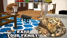 ultimate cat simulator iphone resimleri 4