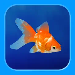 goldfish - aquarium fish tank logo, reviews