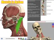visual anatomy ipad resimleri 1