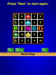 money bingo ipad images 4