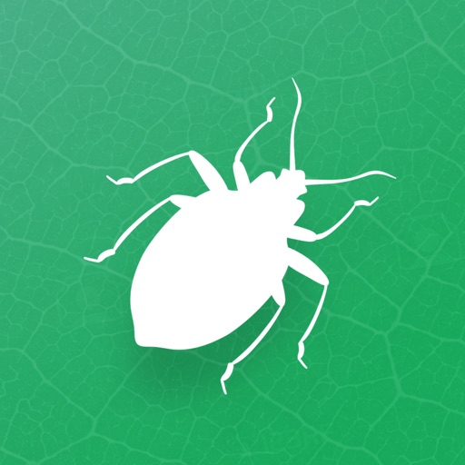 Insecta - Study Insects in AR app reviews download