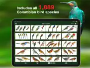 all birds colombia field guide ipad images 3