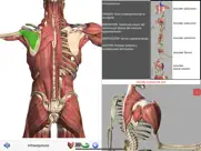 visual anatomy ipad capturas de pantalla 2