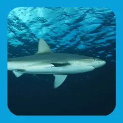 eguide to sharks and rays logo, reviews