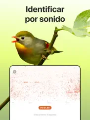 picture bird - reconocer aves ipad capturas de pantalla 4