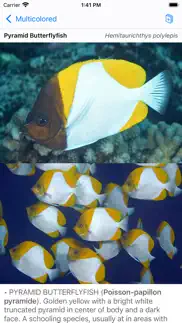 tahiti fish id iPhone Captures Décran 4