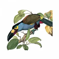 birds of ecuador - field guide logo, reviews