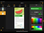 pineapple - création d'applis iPad Captures Décran 3