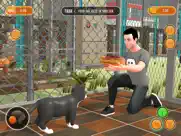 pet animal shelter simulator iPad Captures Décran 2