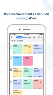 tiny calendar pro iPhone Captures Décran 3