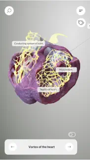 3d heart anatomy iphone capturas de pantalla 3