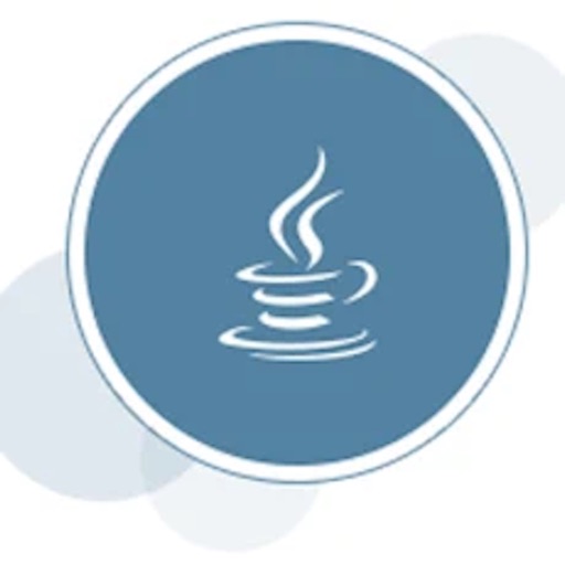 Java SE 16 API Specification app reviews download