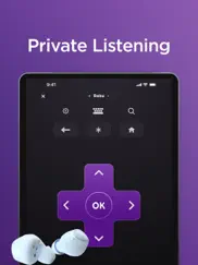 the roku app (official) ipad images 4