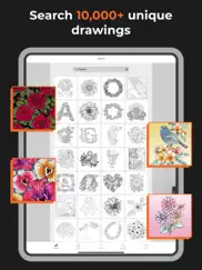 adult coloring book - pigment ipad images 4