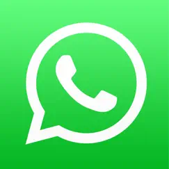 WhatsApp Messenger app crítica