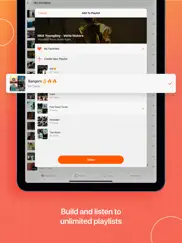 musi - simple music streaming iPad Captures Décran 4