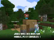 minecraft iPad Captures Décran 4