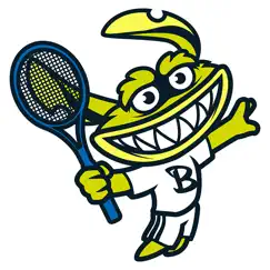 northampton tennis coaching logo, reviews