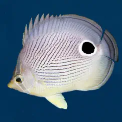 Easy Fish ID Caribbean app reviews