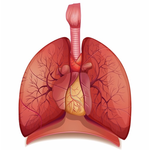 Respiratory System Flashcards app reviews download