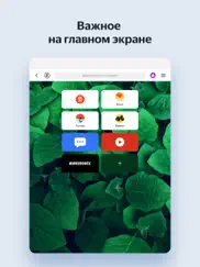 Яндекс Браузер айпад изображения 1