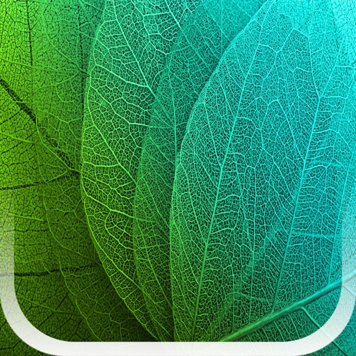 Plants Disease Identification app reviews download