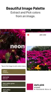 neon - color picker iphone images 4