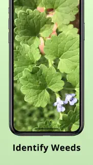 plantion - plant identifier iphone images 4