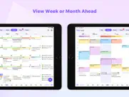 planner pro - daily planner ipad images 2