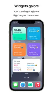 nudget: spending tracker iphone resimleri 4