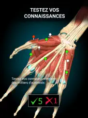 anatomy learning - anatomie 3d iPad Captures Décran 2