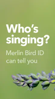 merlin bird id by cornell lab iphone images 1